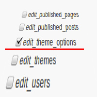 edit-theme-options WordPress user capability