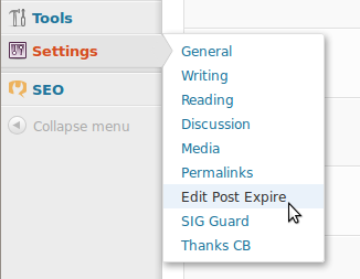 Edit post expire Settings menu item