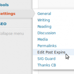 Edit post expire Settings menu item